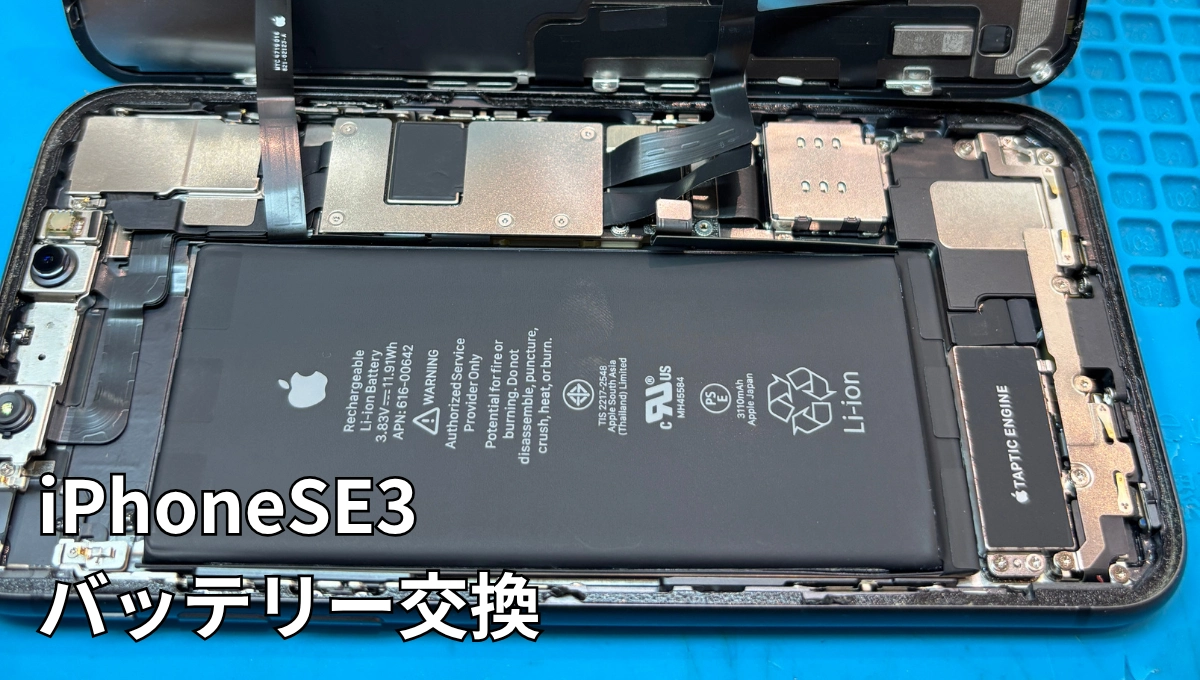 福島県/本宮市】iPhone SE3 バッテリー交換 – X-mobileイオンタウン郡山店